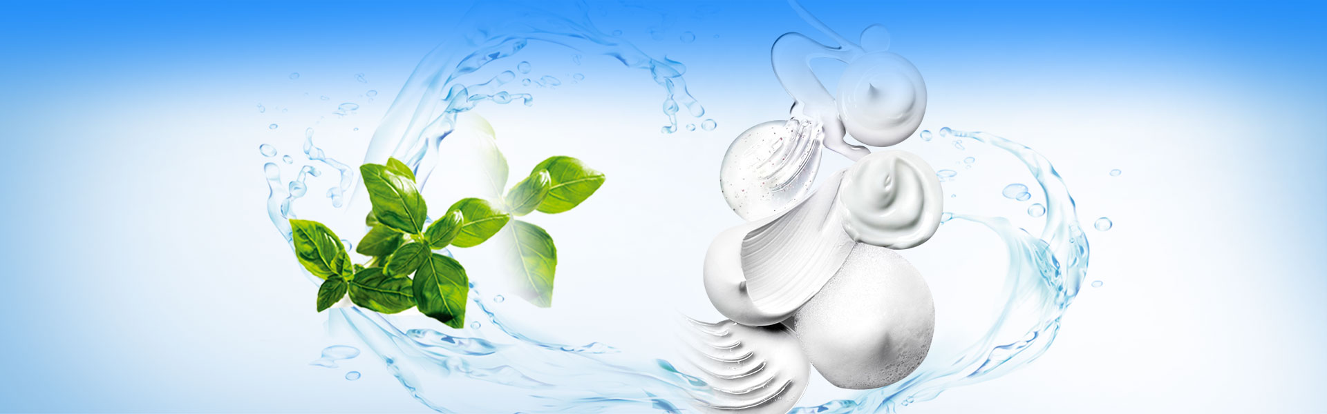 Các sản phẩm
